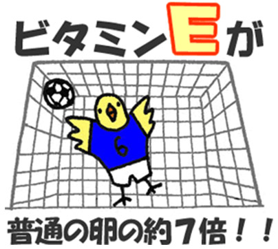 ビタミンE 普通の卵の約7倍!!