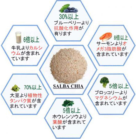 サルバチアの成分特徴