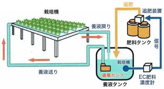 自然光地用型NFTを採用